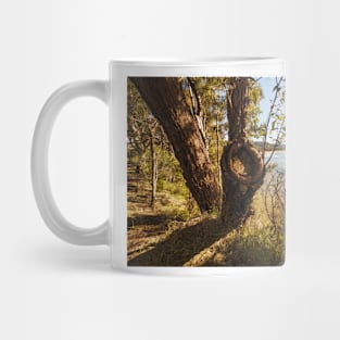 Trees In The Light Mug